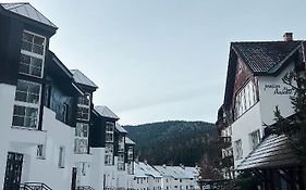 Apartment Na Skale Close To City Center & Ski Lift
